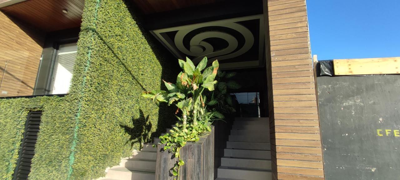 Menesse Mitdtown2 , Ave 25Th Playa del Carmen Exterior foto